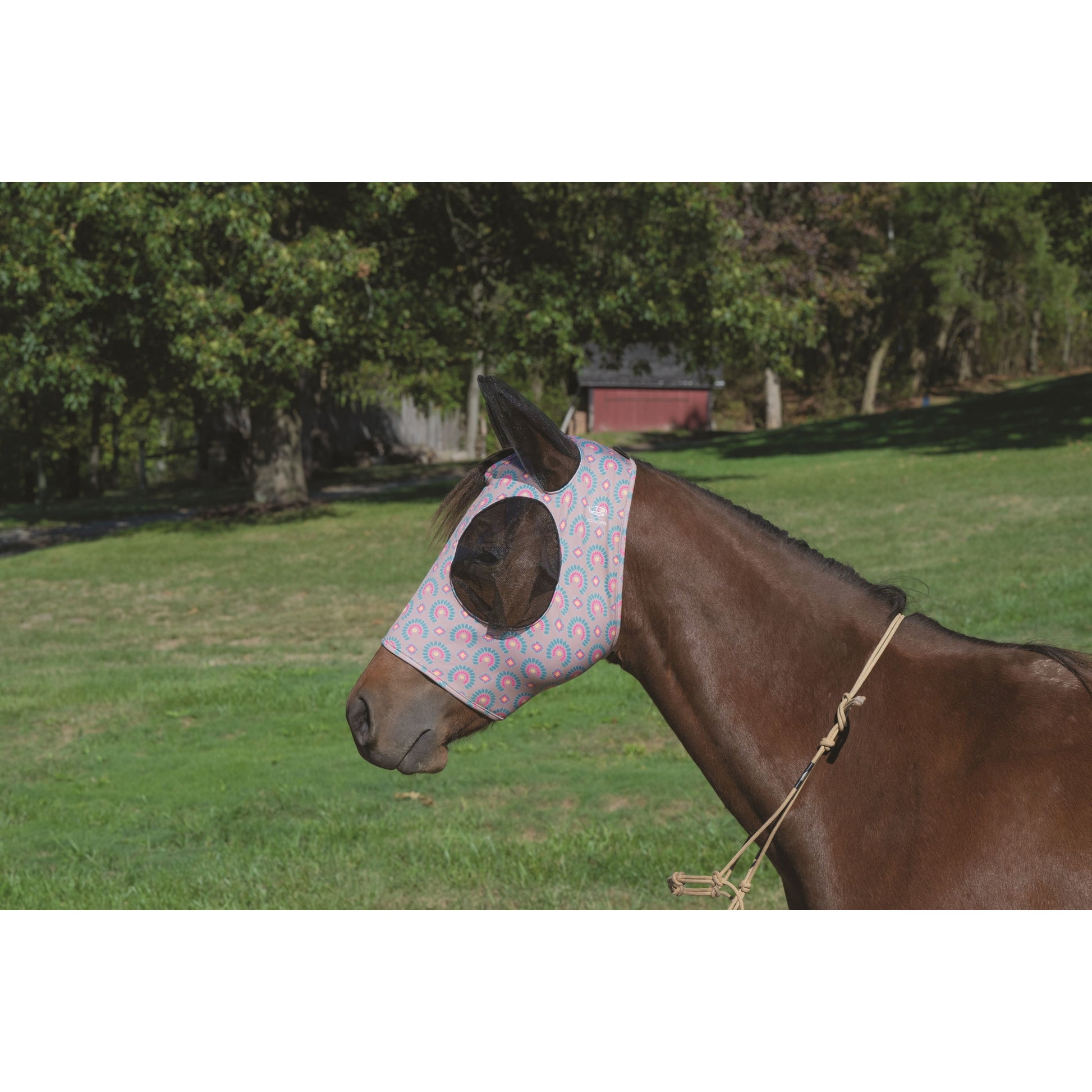 Weaver CoolAid Equine Lycra Fly Mask