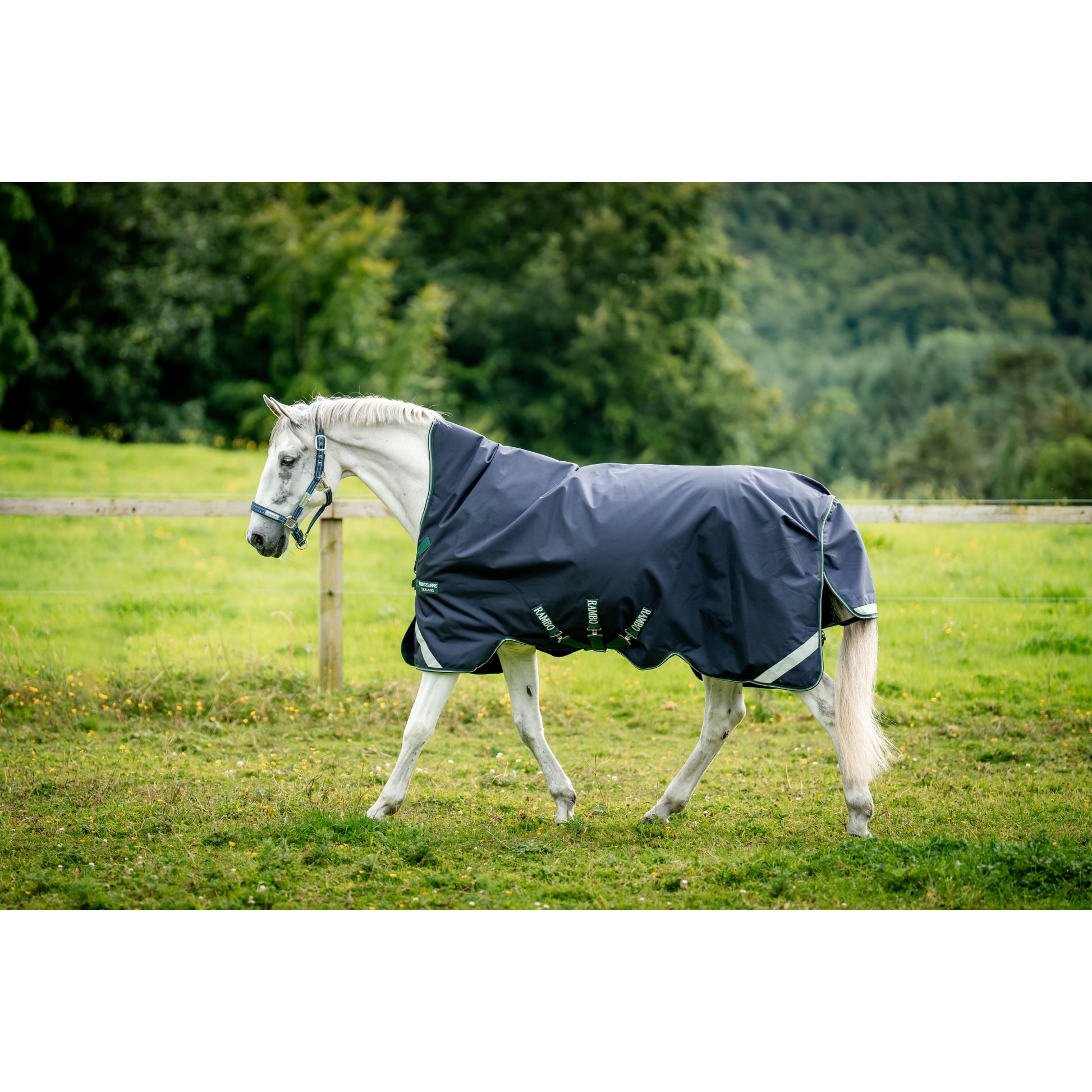 Rambo 1680D Wug Turnout 400g