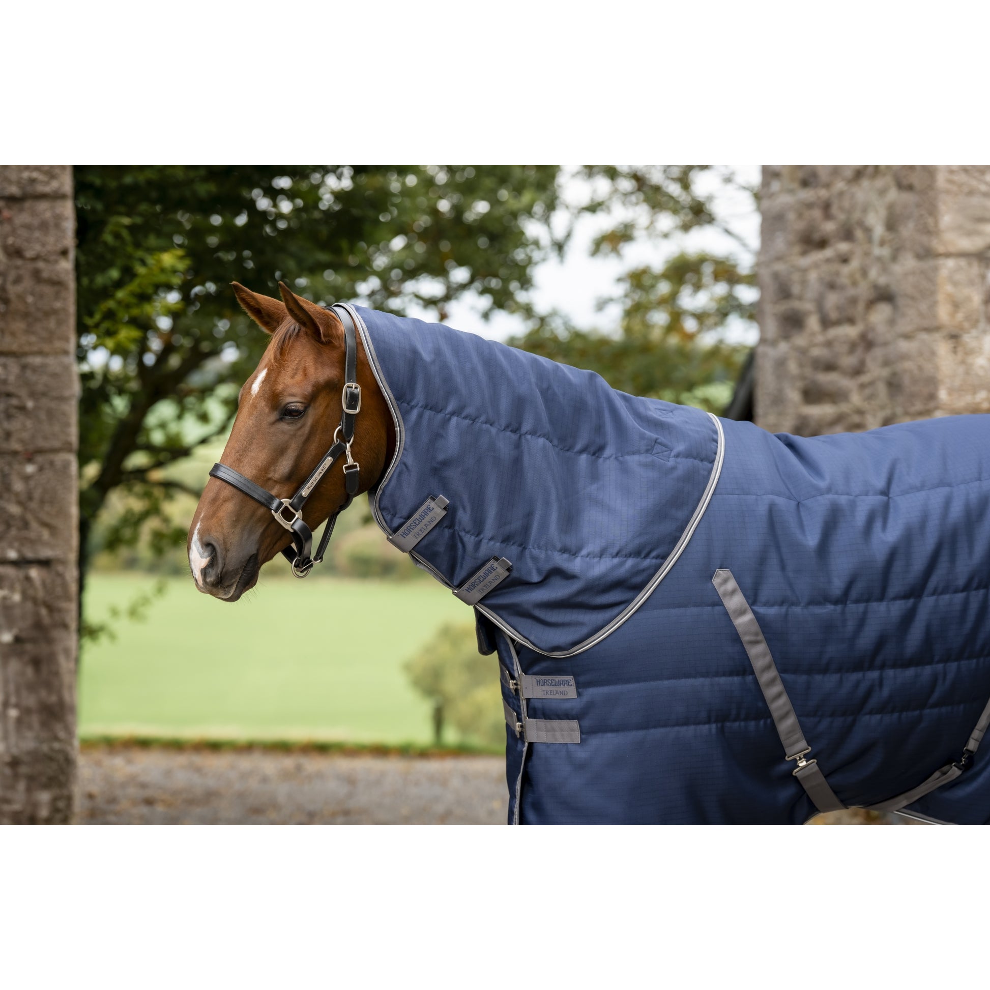 Rambo Stable Hood 100g