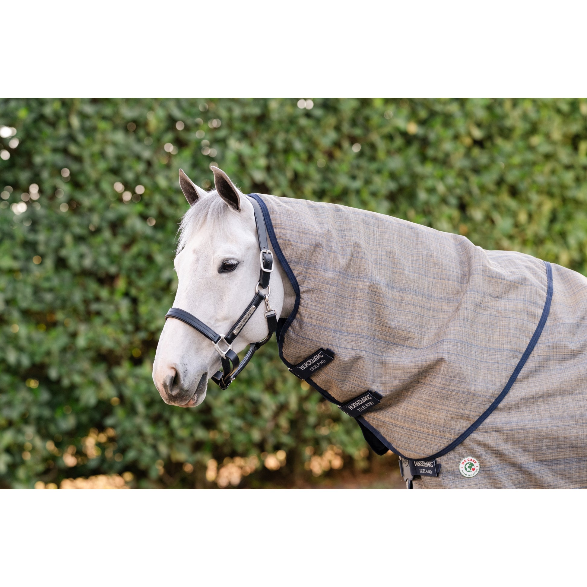Amigo 900D Revive Plus Turnout 200g