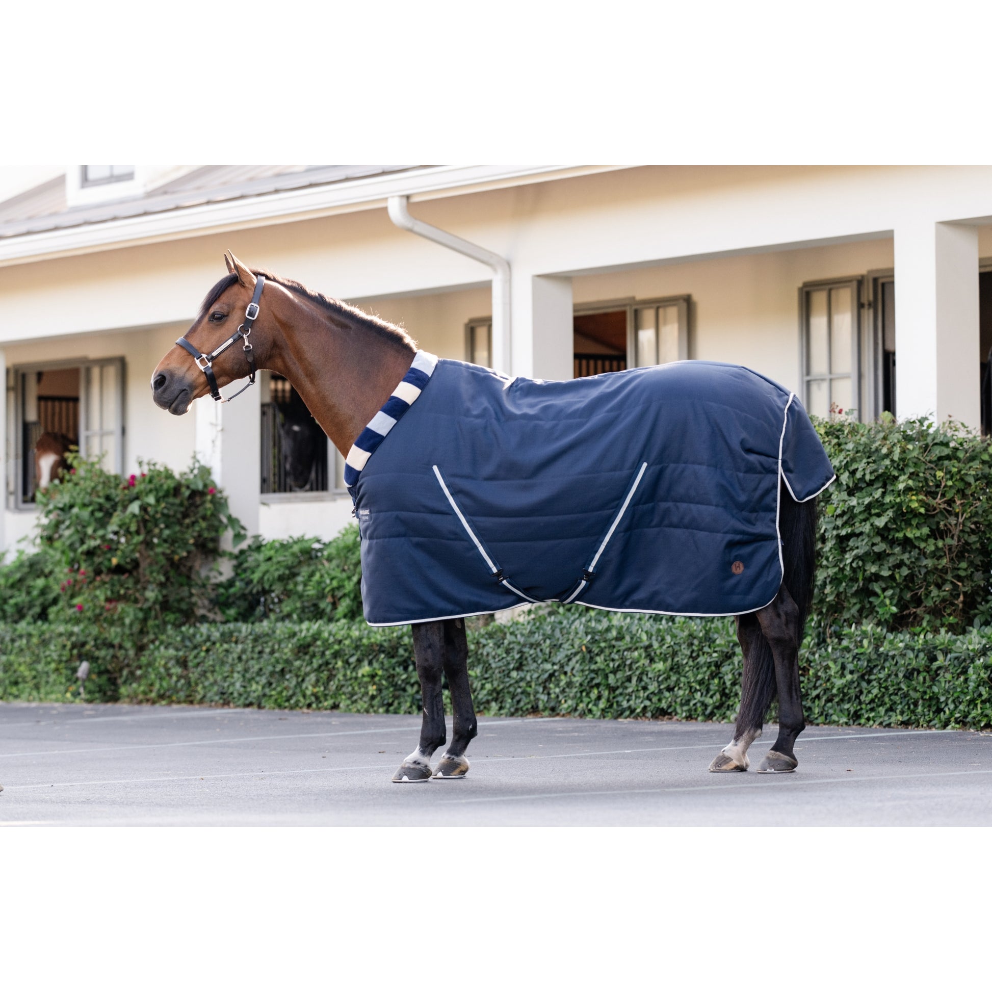 Horseware Newmarket Cozy Stable 100g