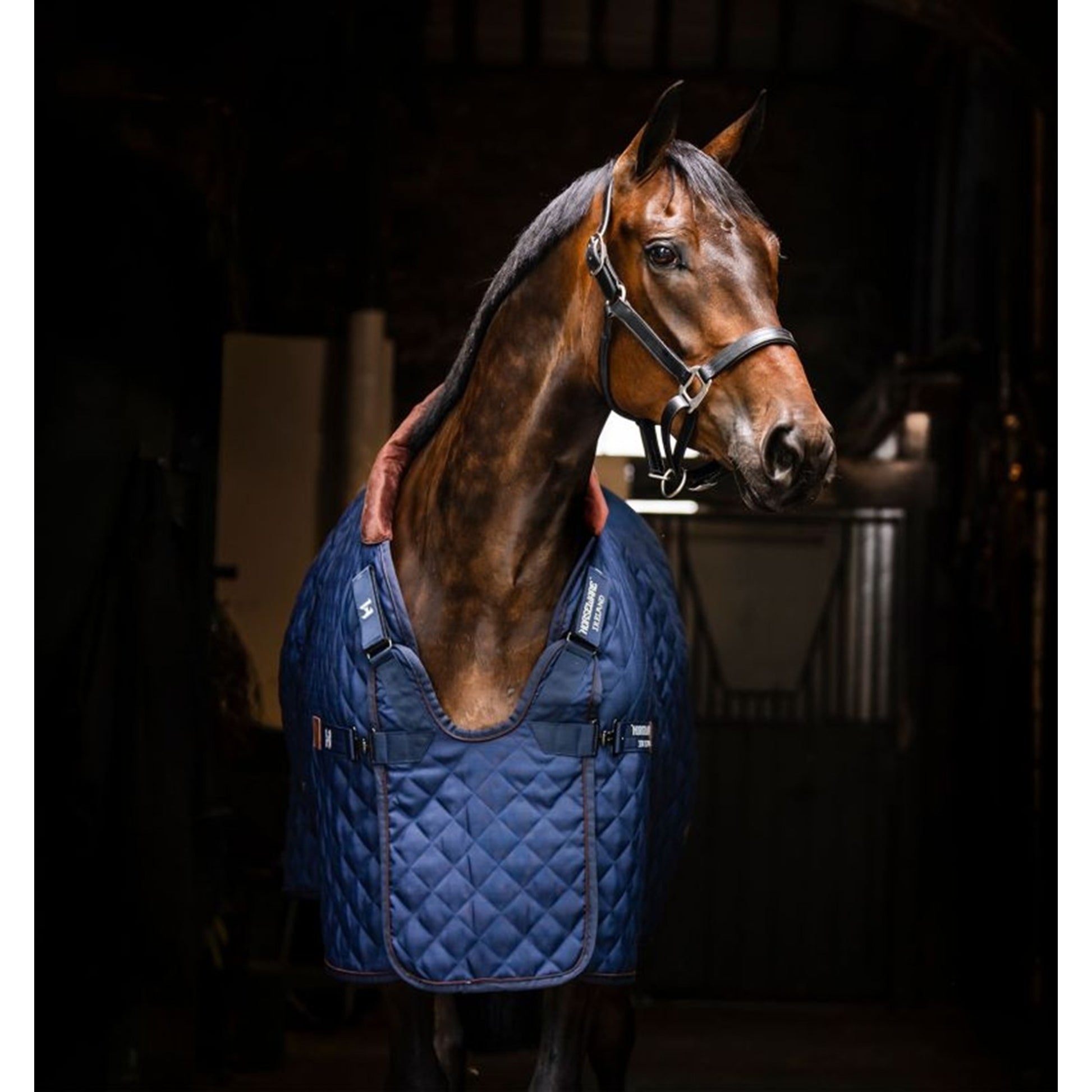 Horseware Signature Stable 200g