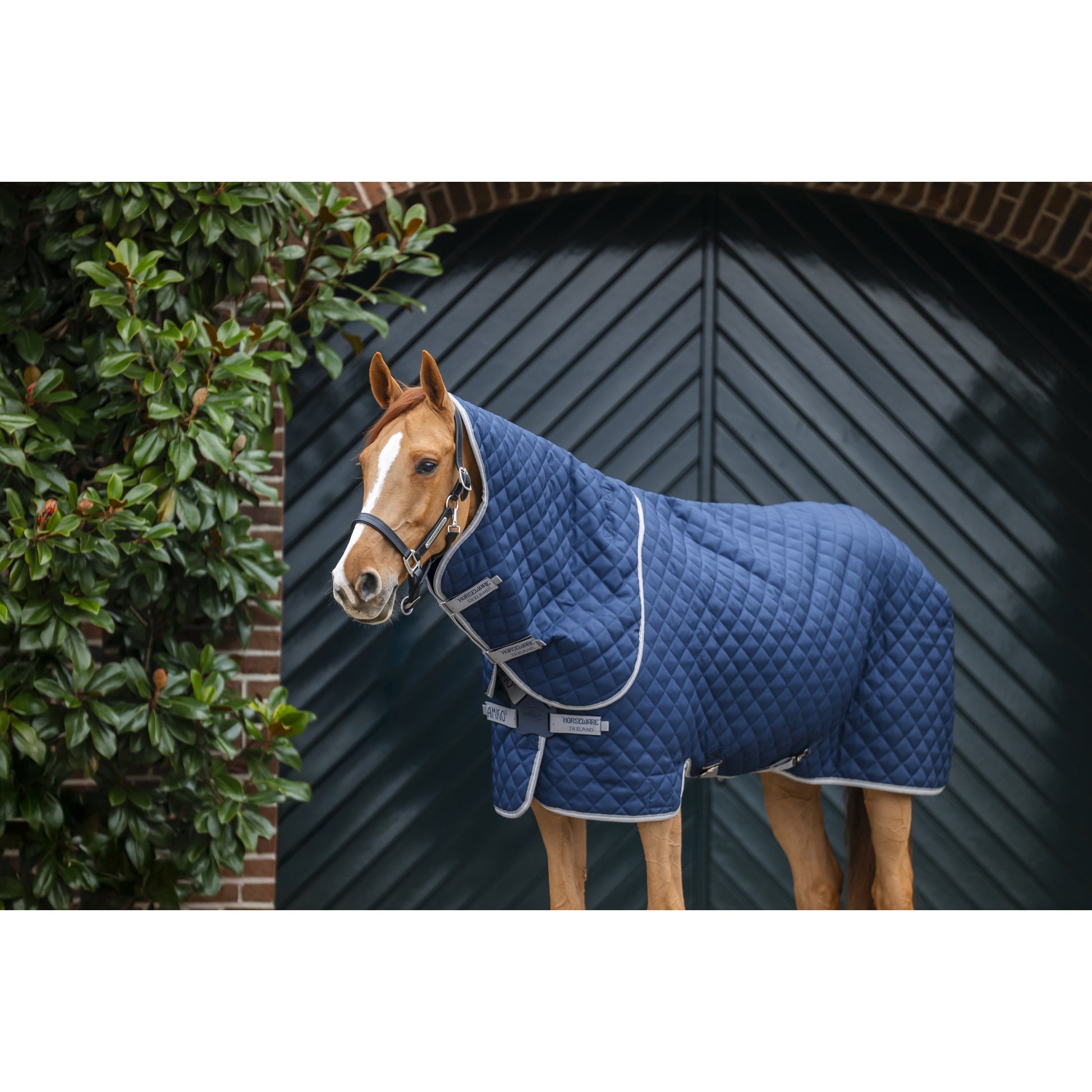 Amigo Quilted Stable Plus 200g