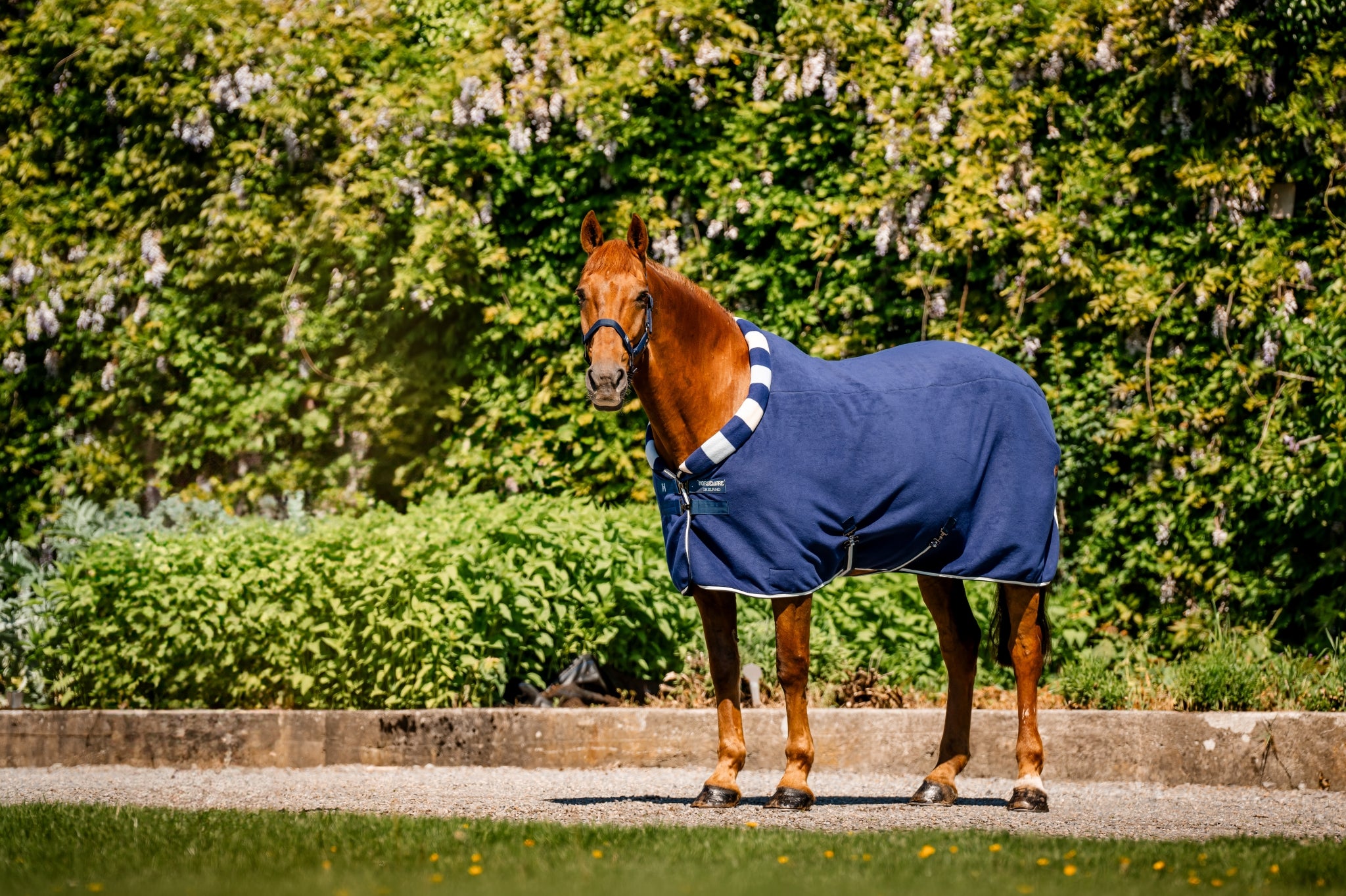 Horseware Newmarket Cozy Fleece Cooler