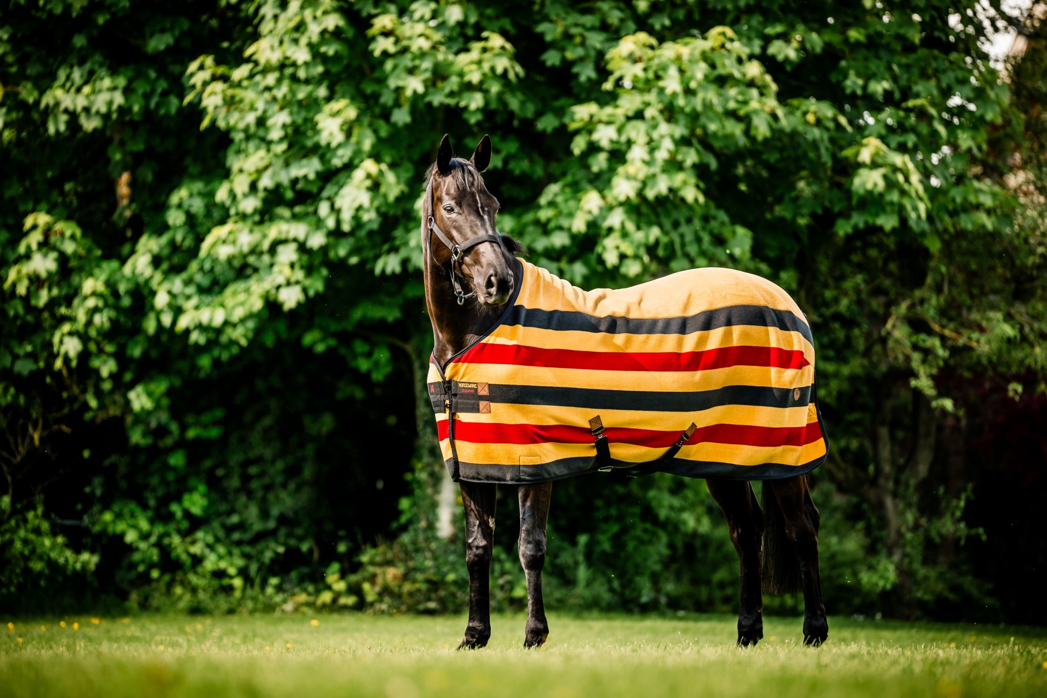 Horseware Newmarket Fleece Cooler
