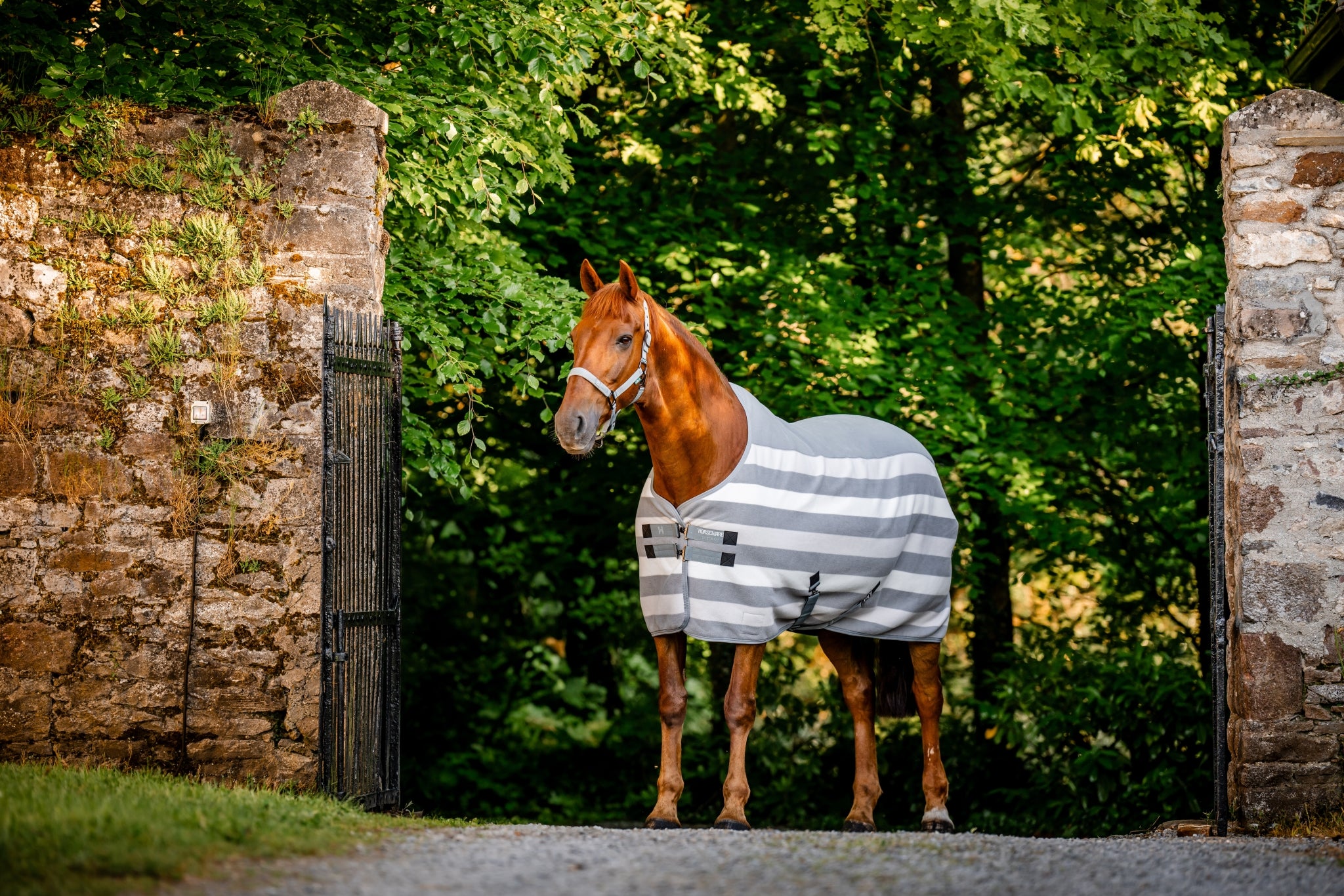 Horseware Newmarket Fleece Cooler