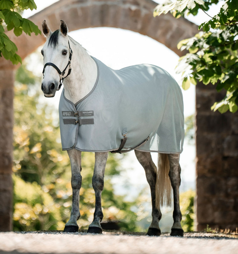 Amigo AirNet Cooler