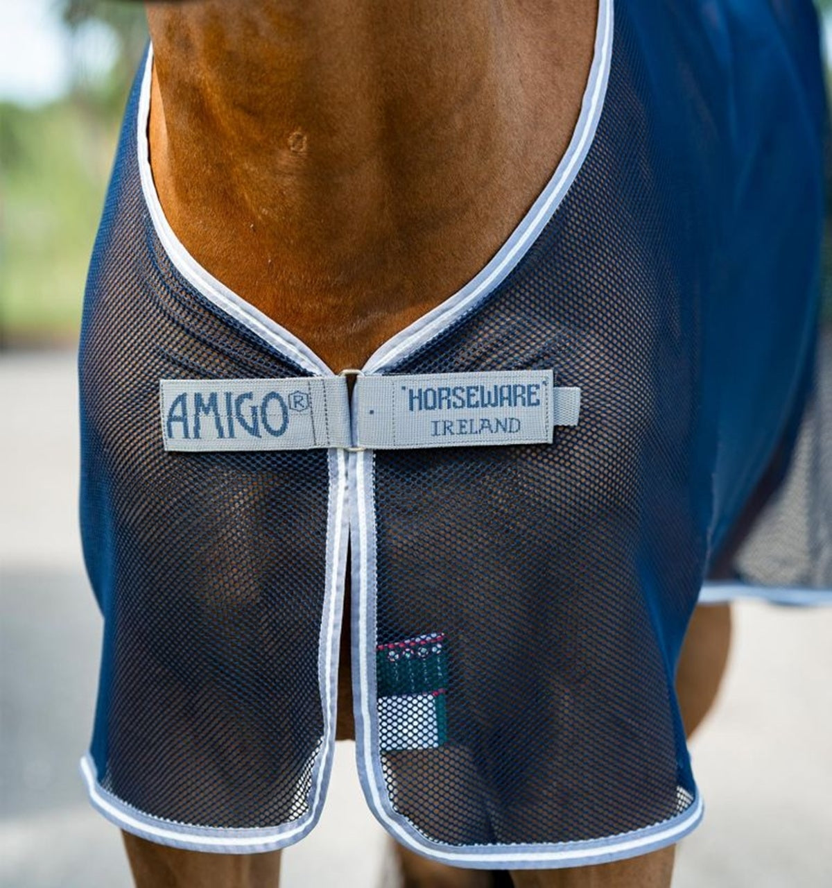 Amigo Net Cooler