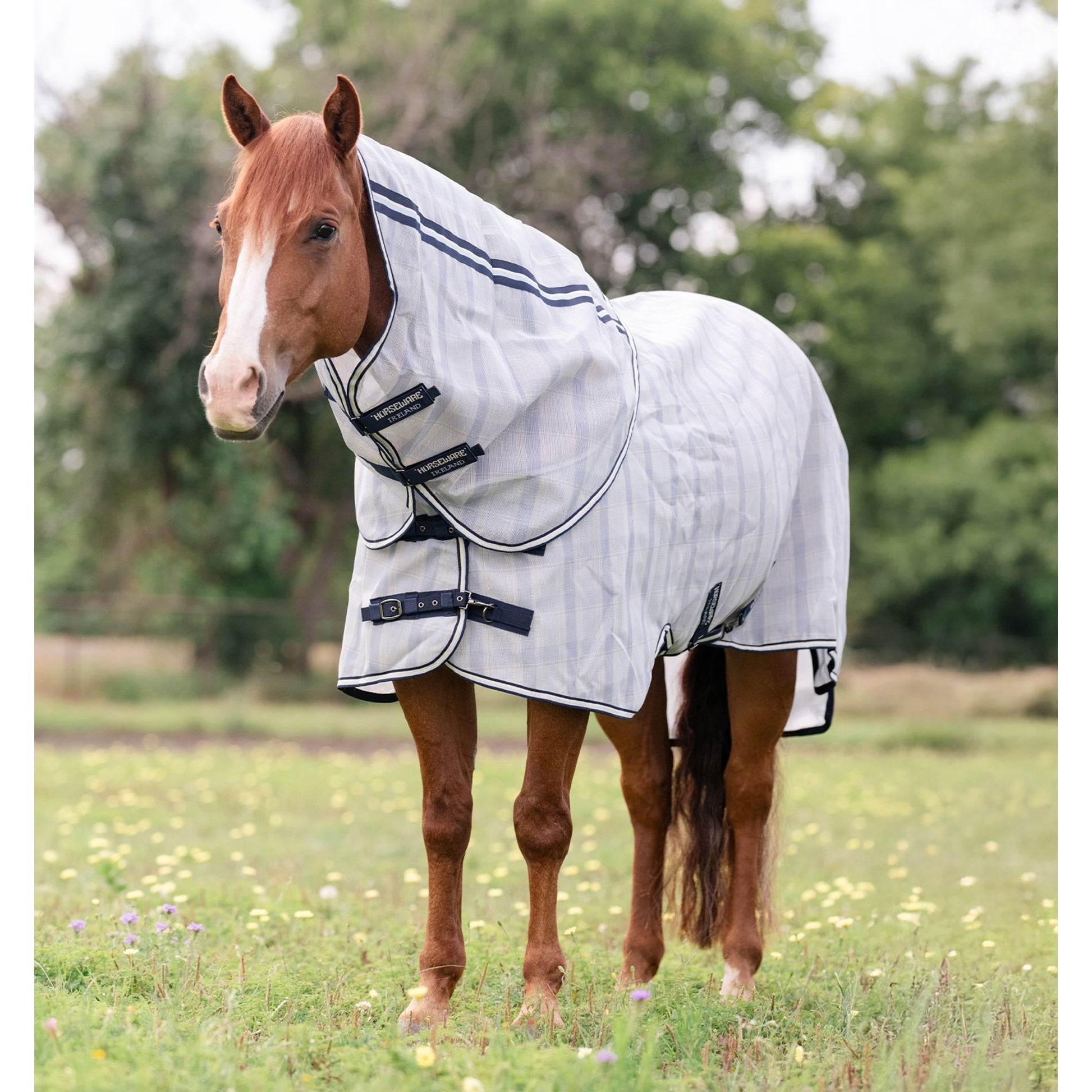 Horseware Newmarket Quarter Horse Plus Fly Sheet