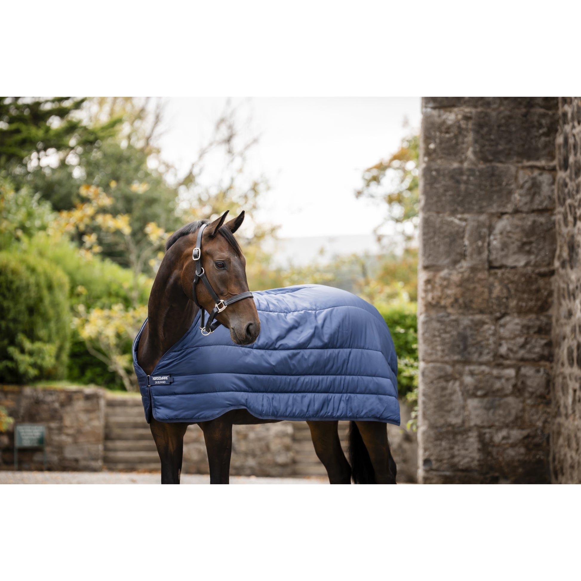 Horseware Liner 50g