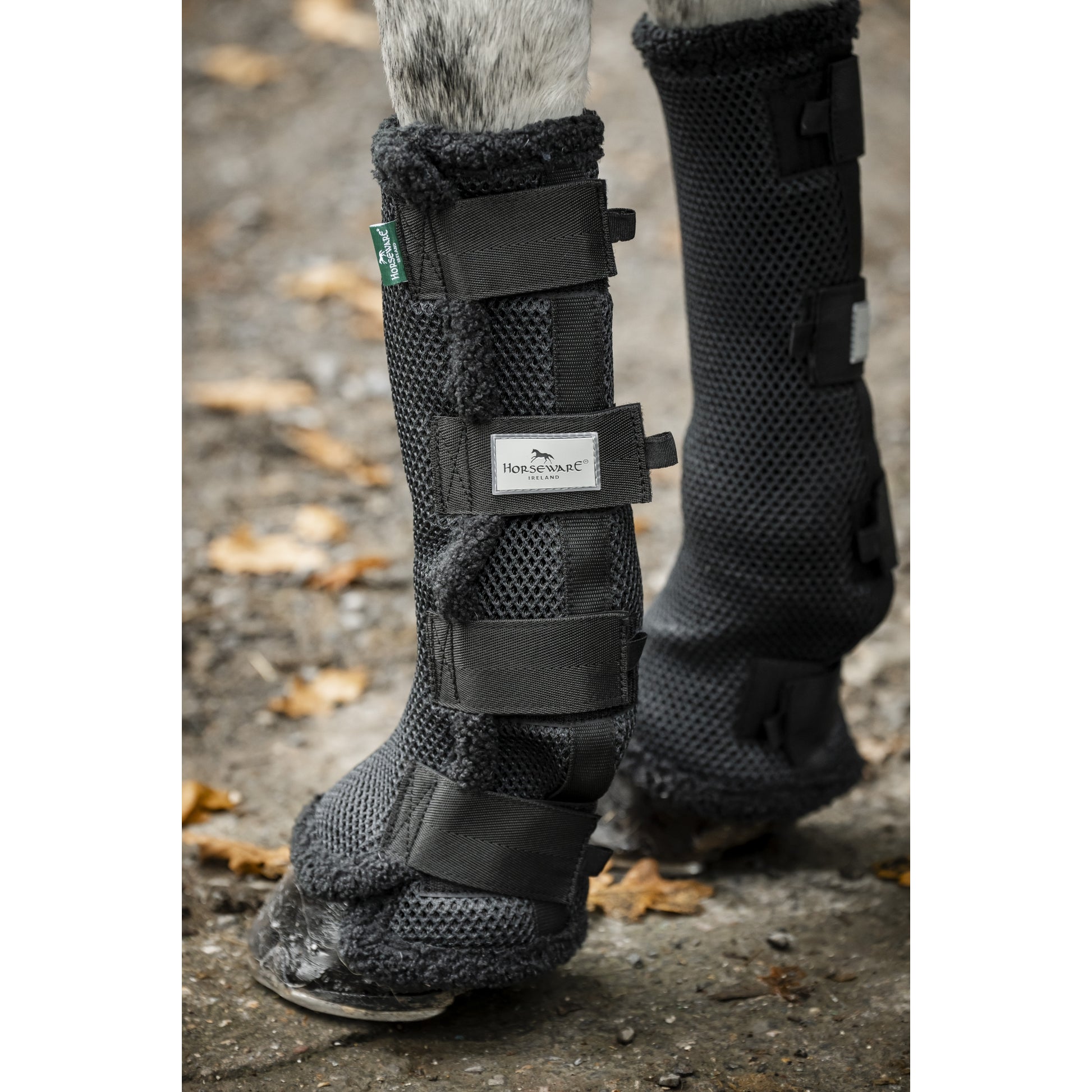 Horseware Show Ready Wraps