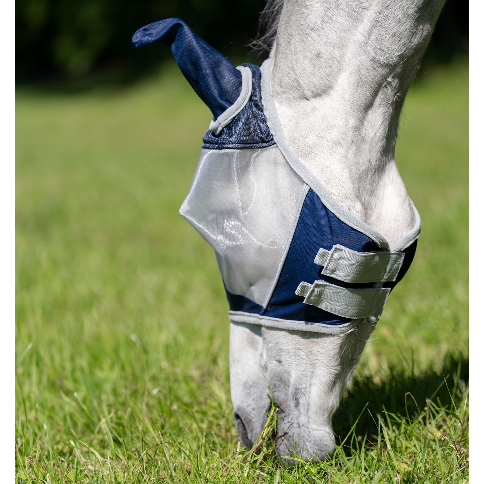 Horseware Shield Flymask