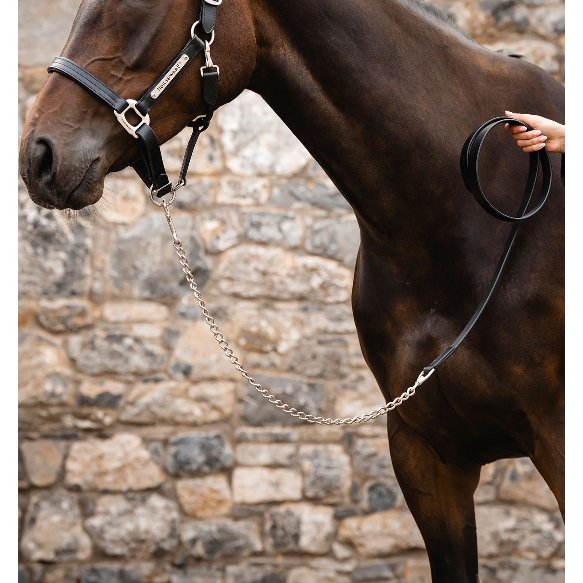 Horseware Signature Lead with Chain