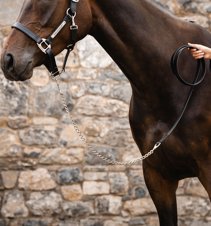 Horseware Signature Lead with Chain