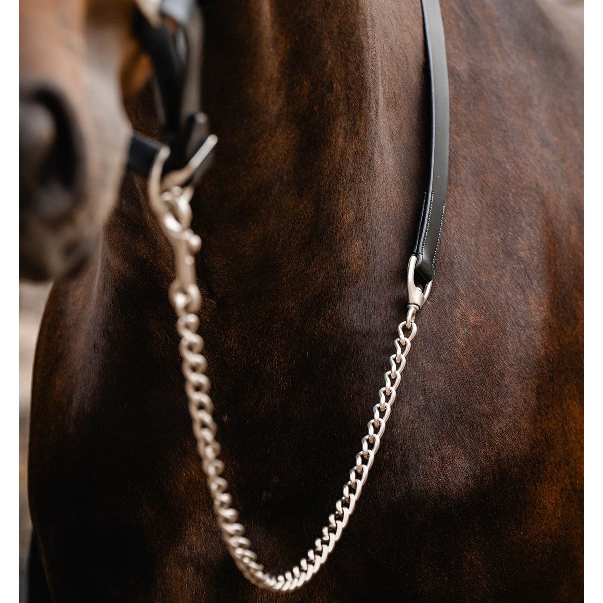 Horseware Signature Lead with Chain