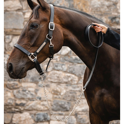 Horseware Signature Lead with Chain
