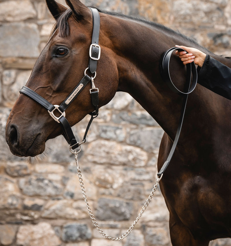 Horseware Signature Lead with Chain