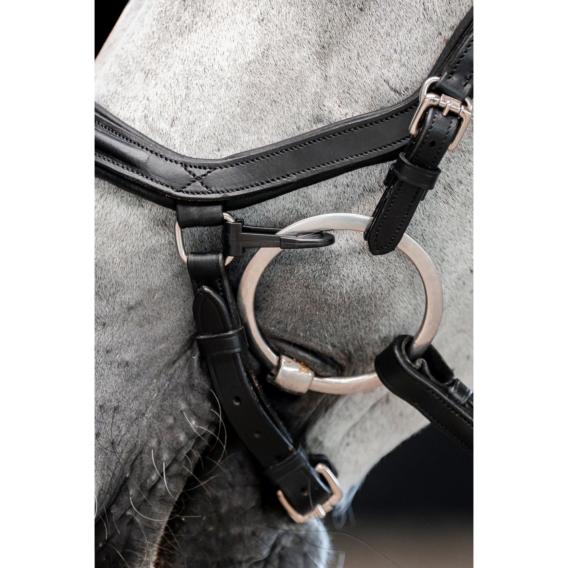 Horseware Micklem Bit Clips