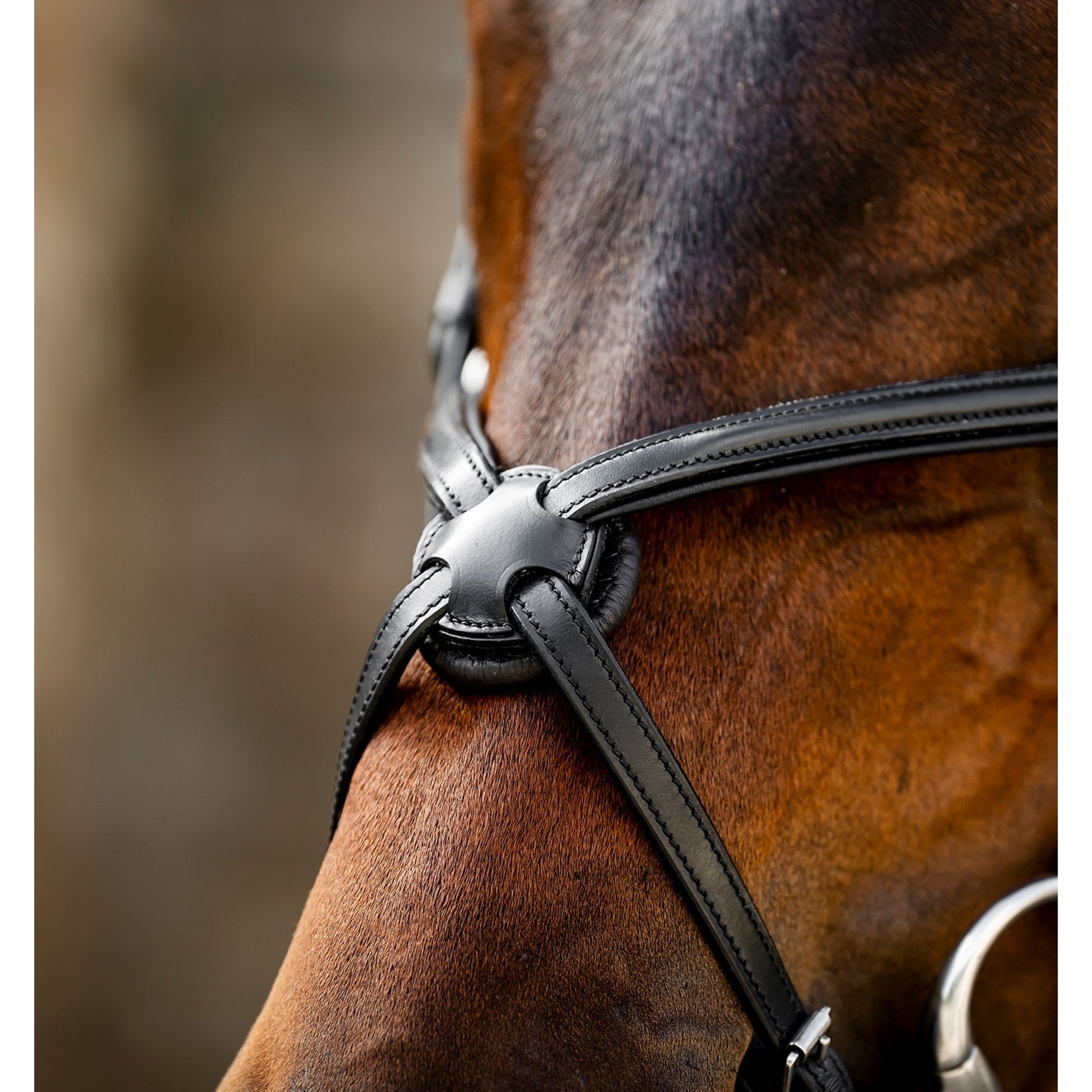 Horseware Figure 8 Grackle Bridle