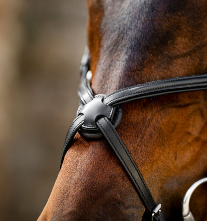 Horseware Figure 8 Grackle Bridle