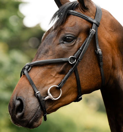 Horseware Figure 8 Grackle Bridle