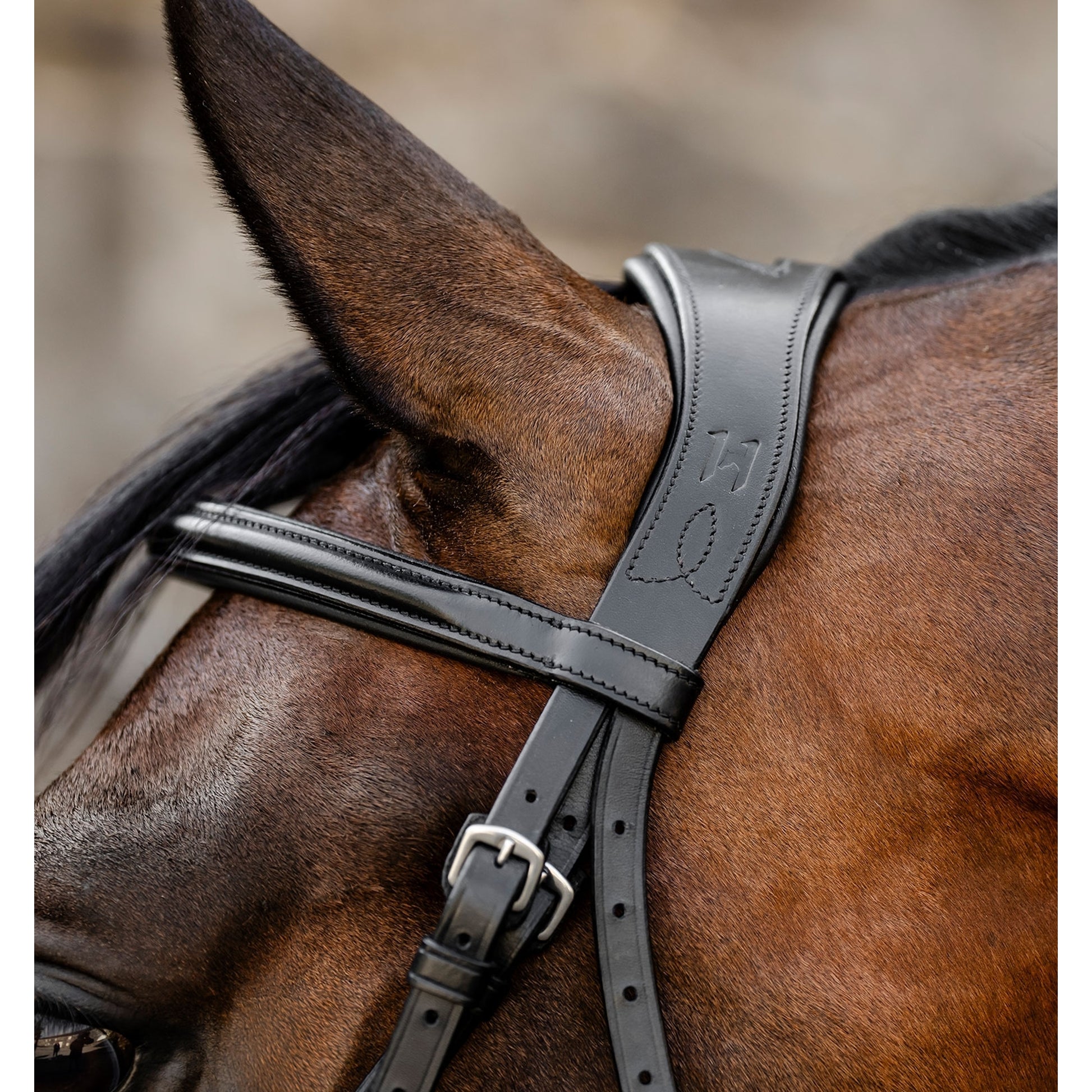 Horseware Figure 8 Grackle Bridle