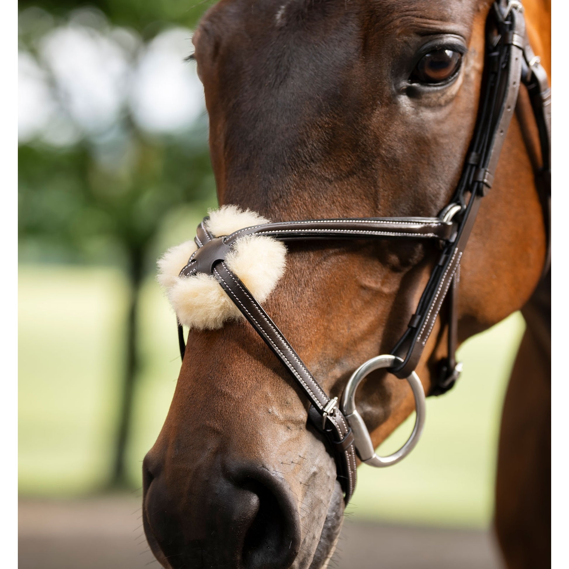 Horseware Figure 8 Grackle Bridle