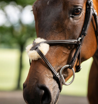 Horseware Figure 8 Grackle Bridle