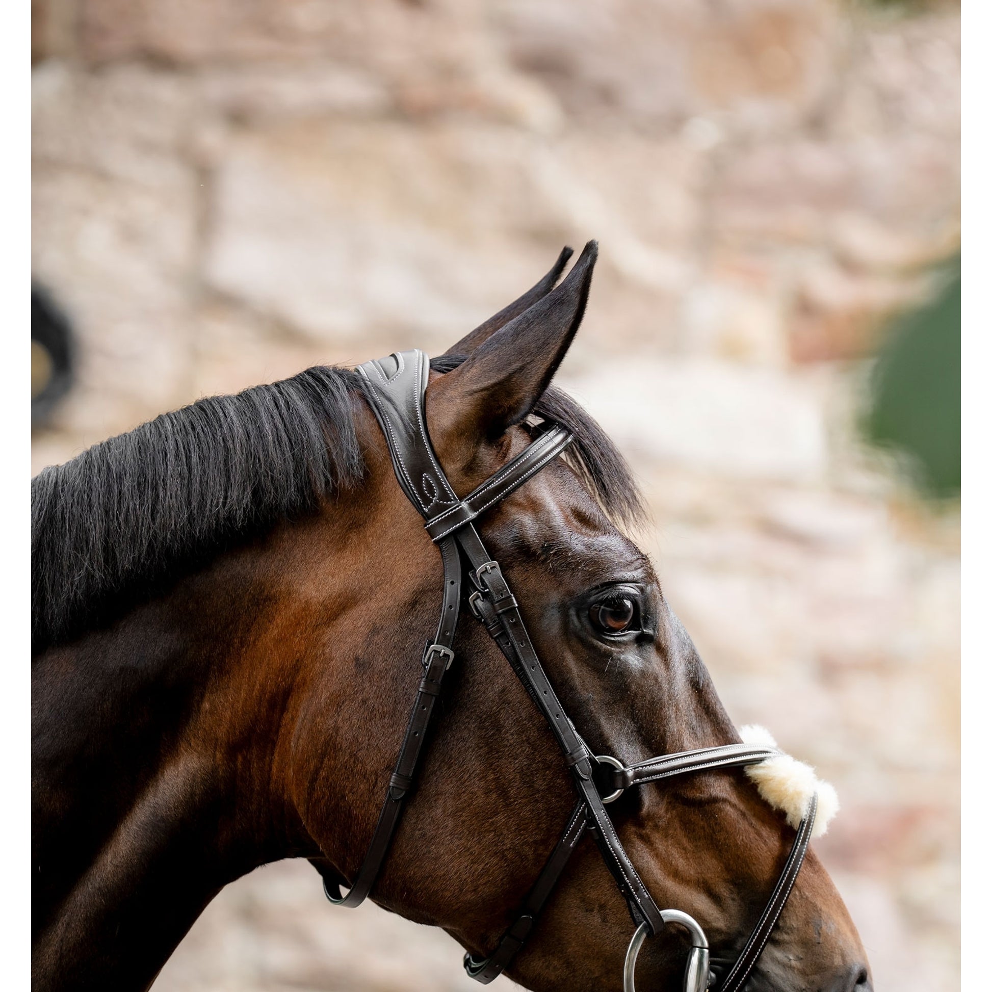 Horseware Figure 8 Grackle Bridle