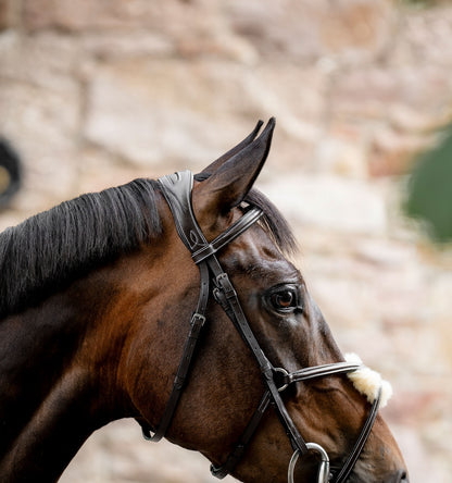 Horseware Figure 8 Grackle Bridle