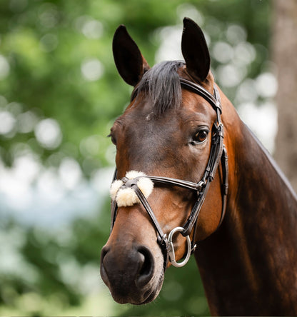 Horseware Figure 8 Grackle Bridle