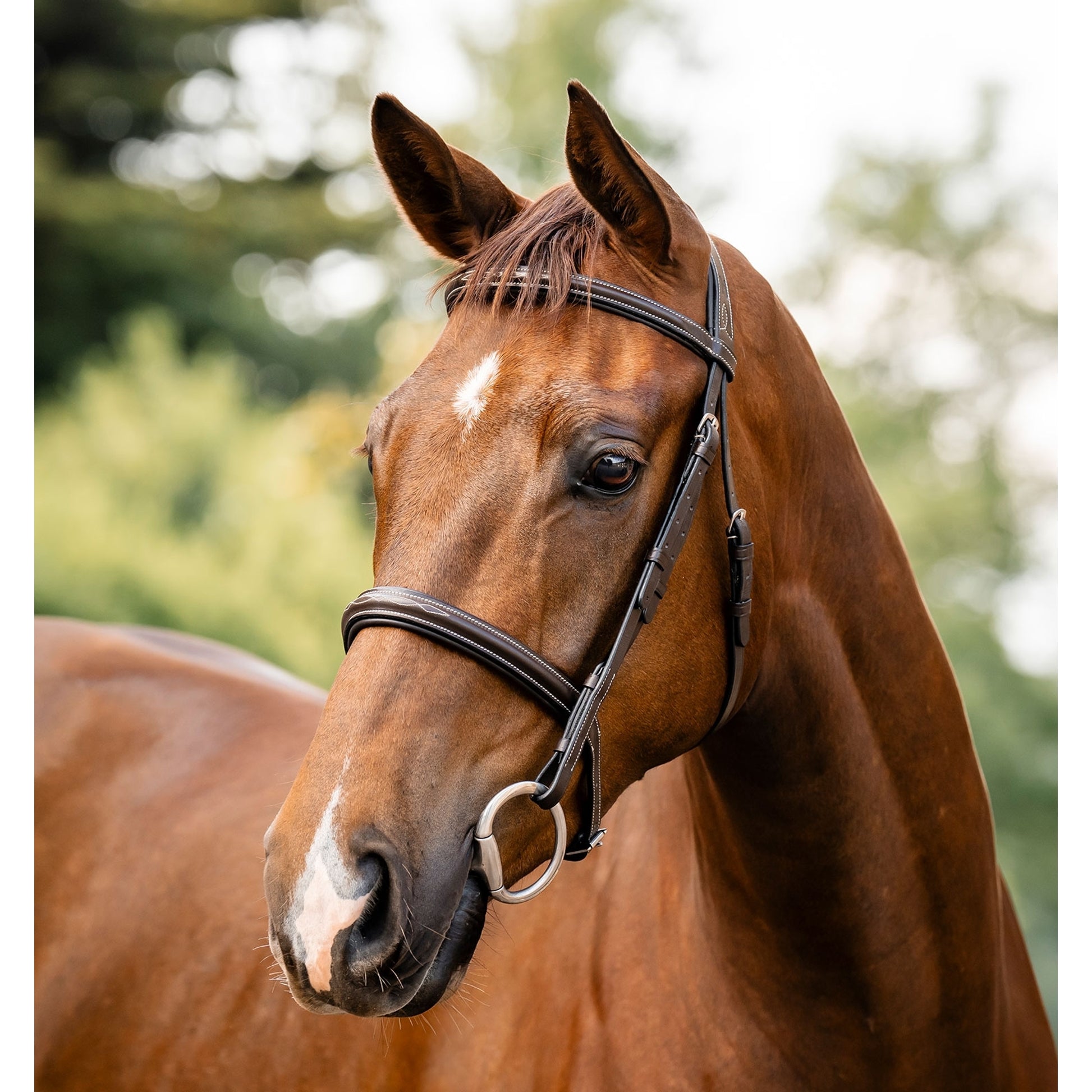Horseware Hunter Bridle