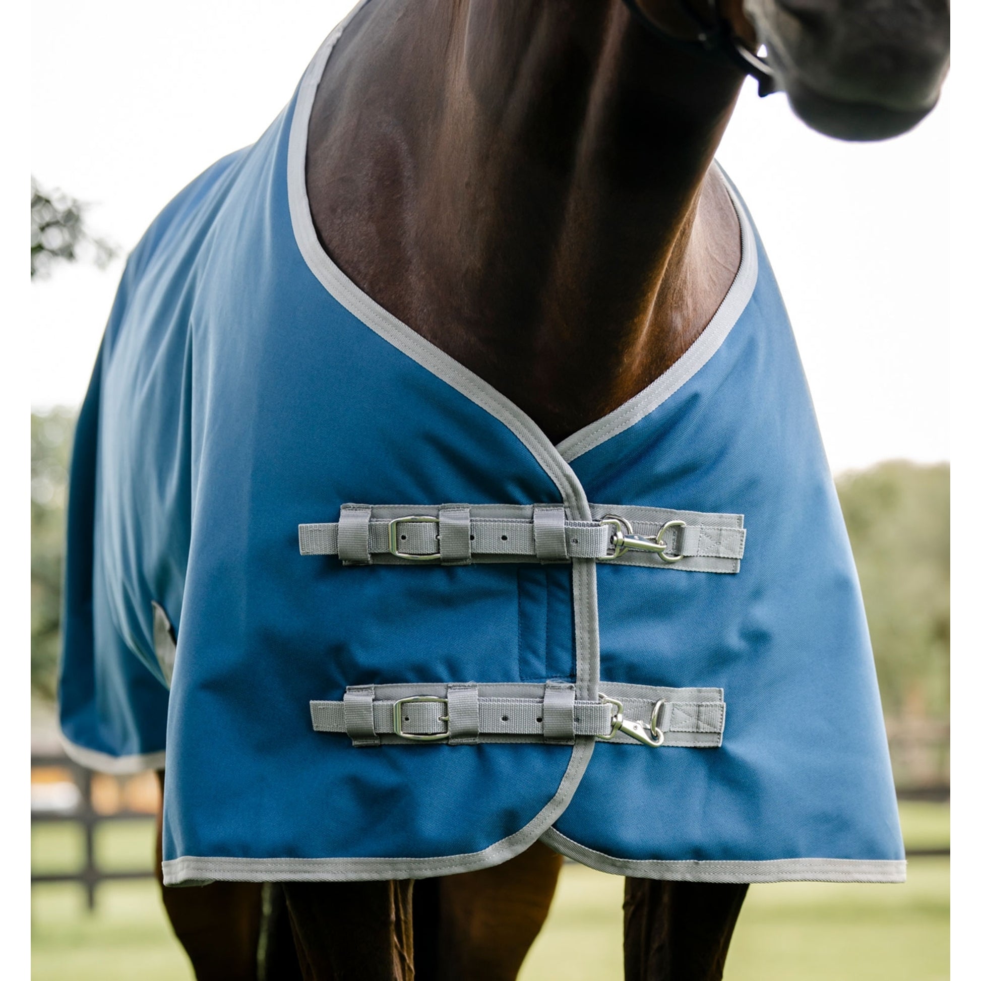 Horseware Ionic Therapy Quarter Horse Turnout 100g