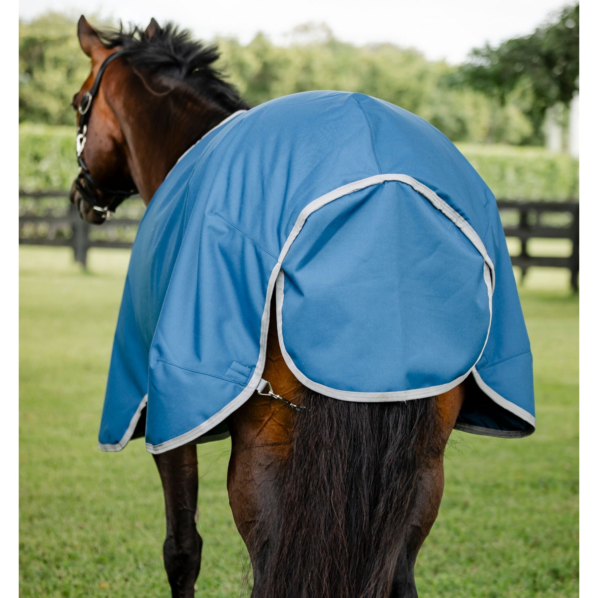Horseware Ionic Therapy Quarter Horse Turnout 100g
