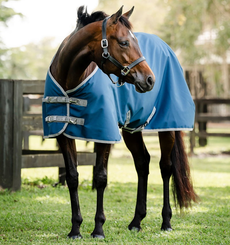 Horseware Ionic Therapy Quarter Horse Turnout 100g
