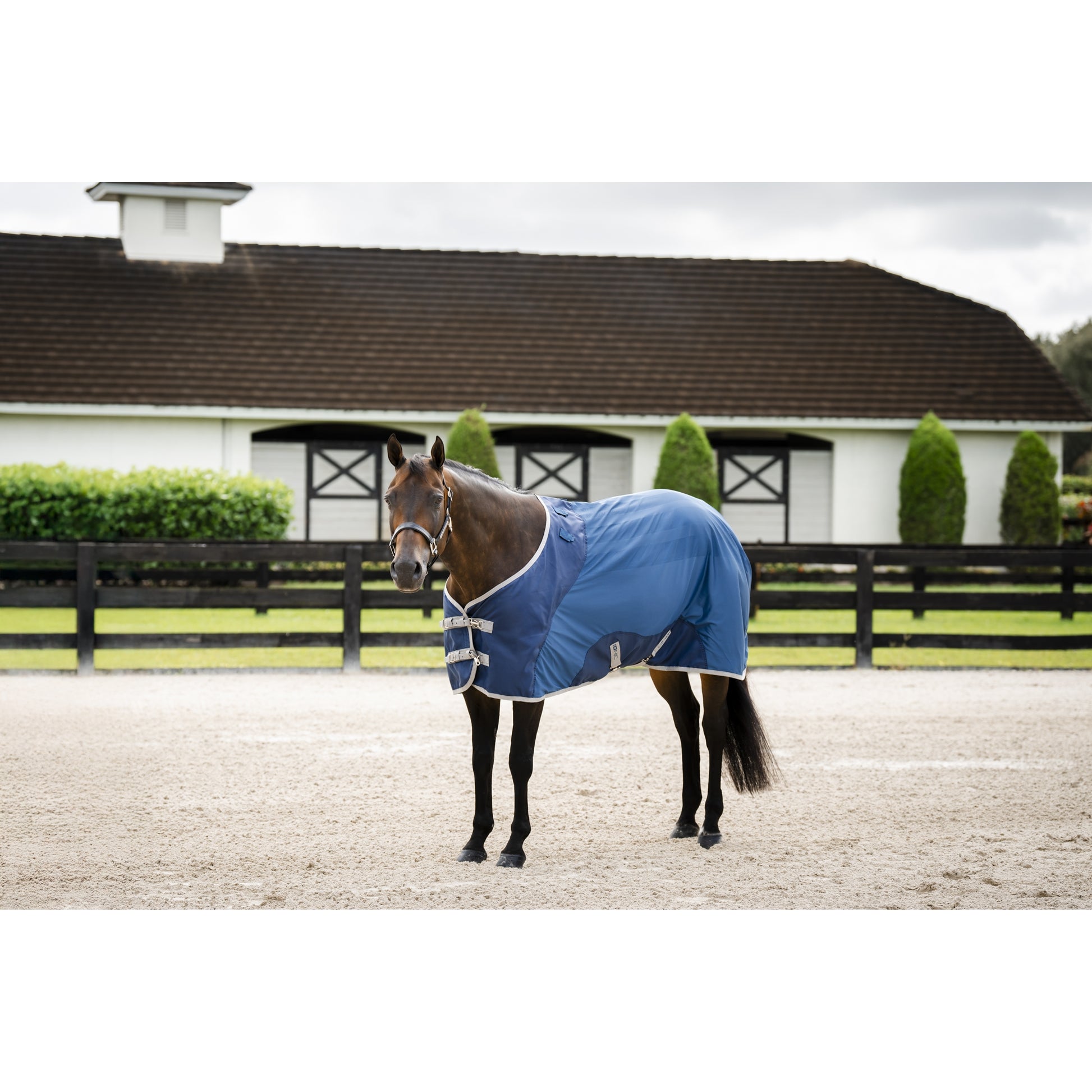 Horseware Ionic Therapy Quarter Horse Mesh Cooler
