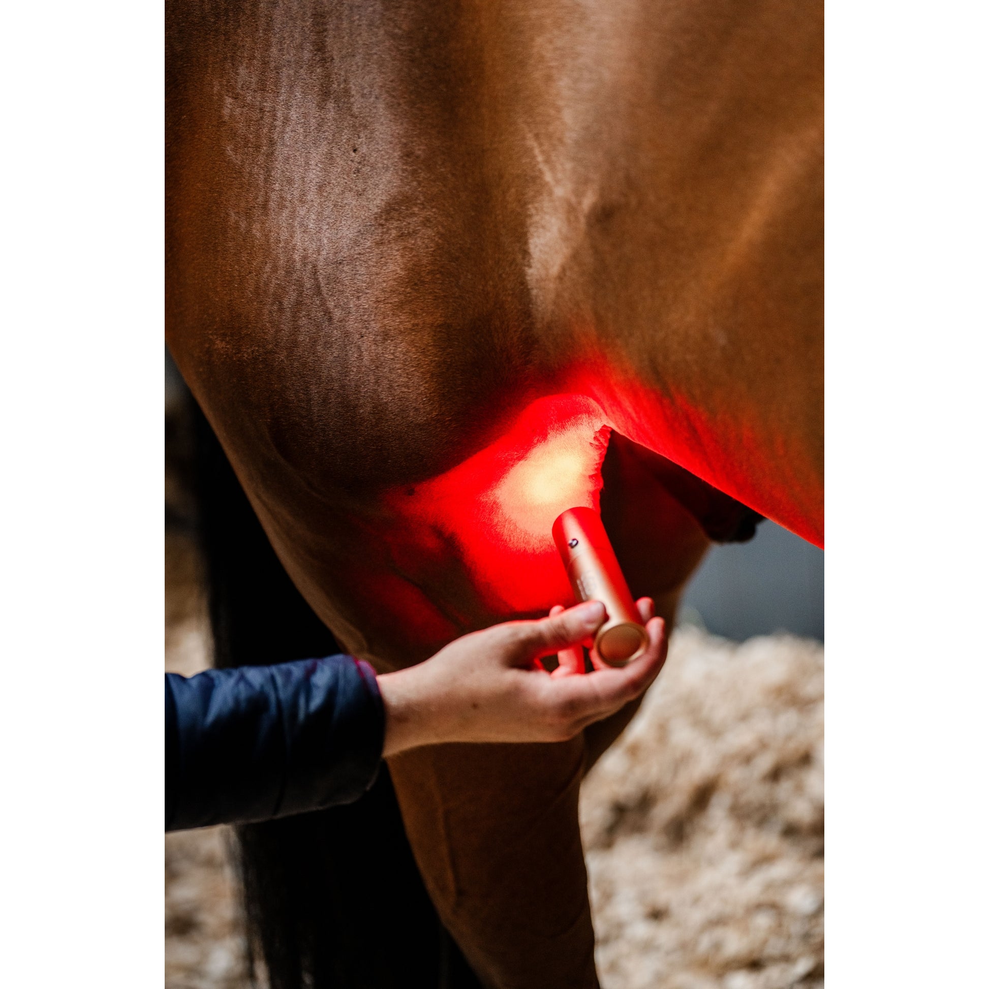 Horseware LED Red Light Therapy Wand