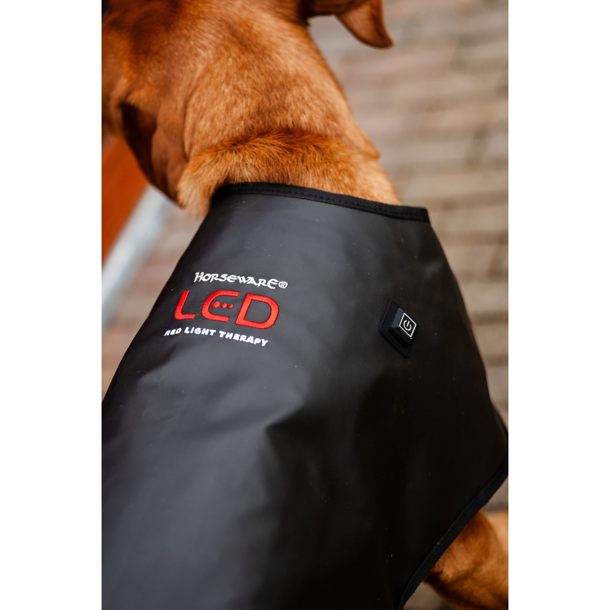 Horseware LED Red Light Therapy Pet Coat
