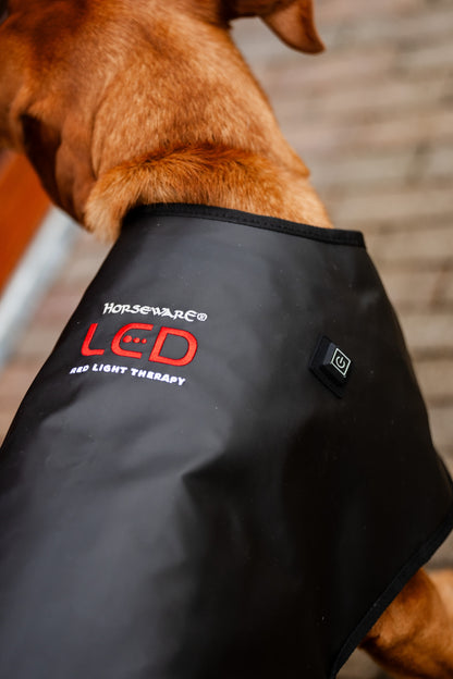 Horseware LED Red Light Therapy Pet Coat