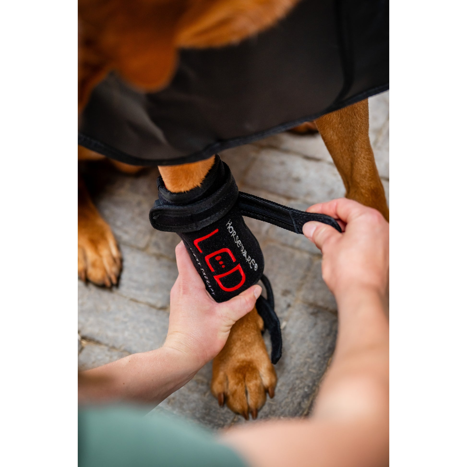 Horseware LED Red Light Therapy Pet Leg Wrap