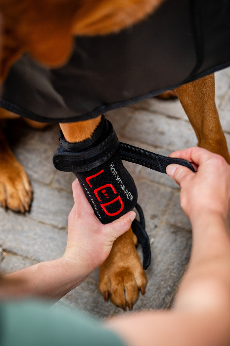 Horseware LED Red Light Therapy Pet Leg Wrap