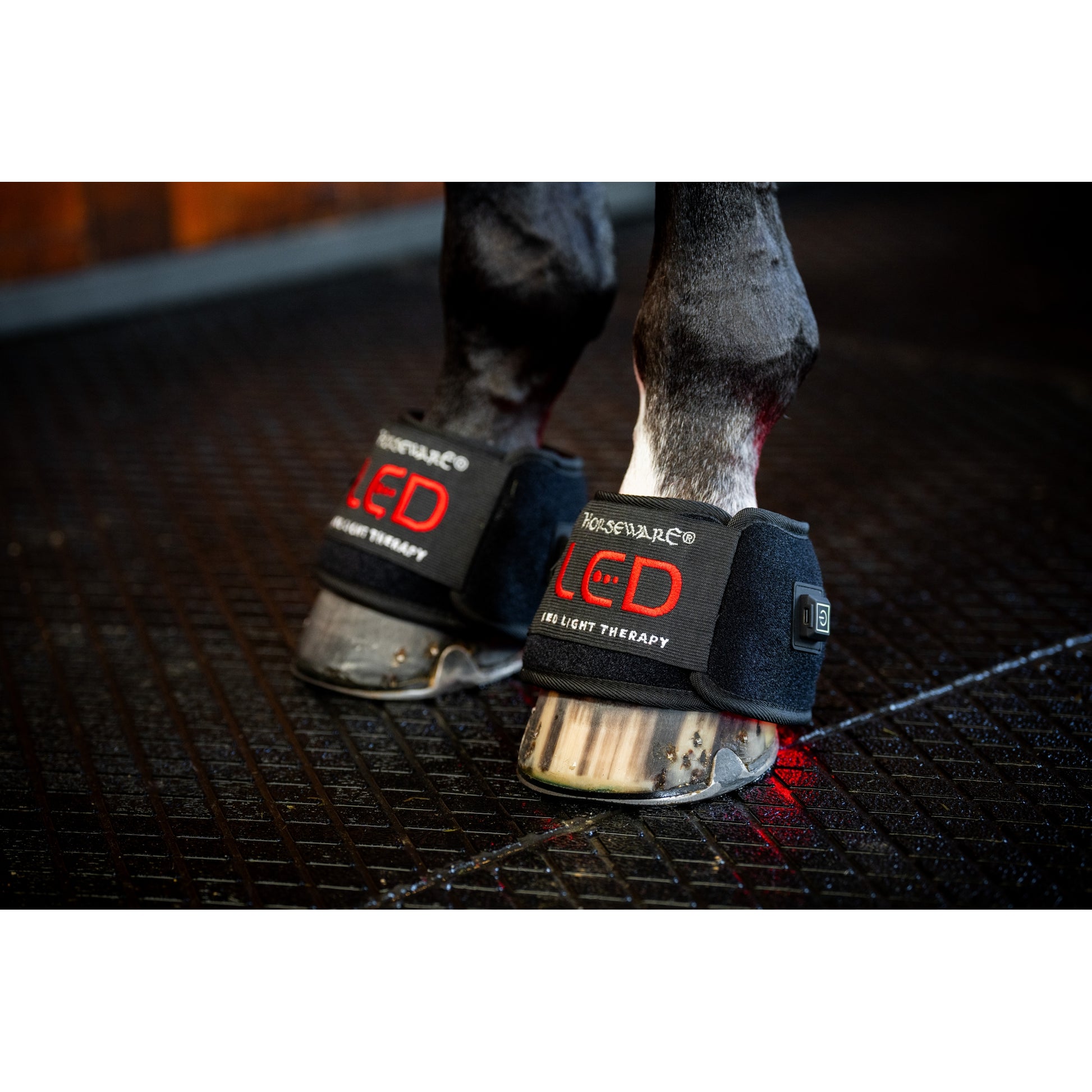 Horseware LED Red Light Therapy Mini Wrap