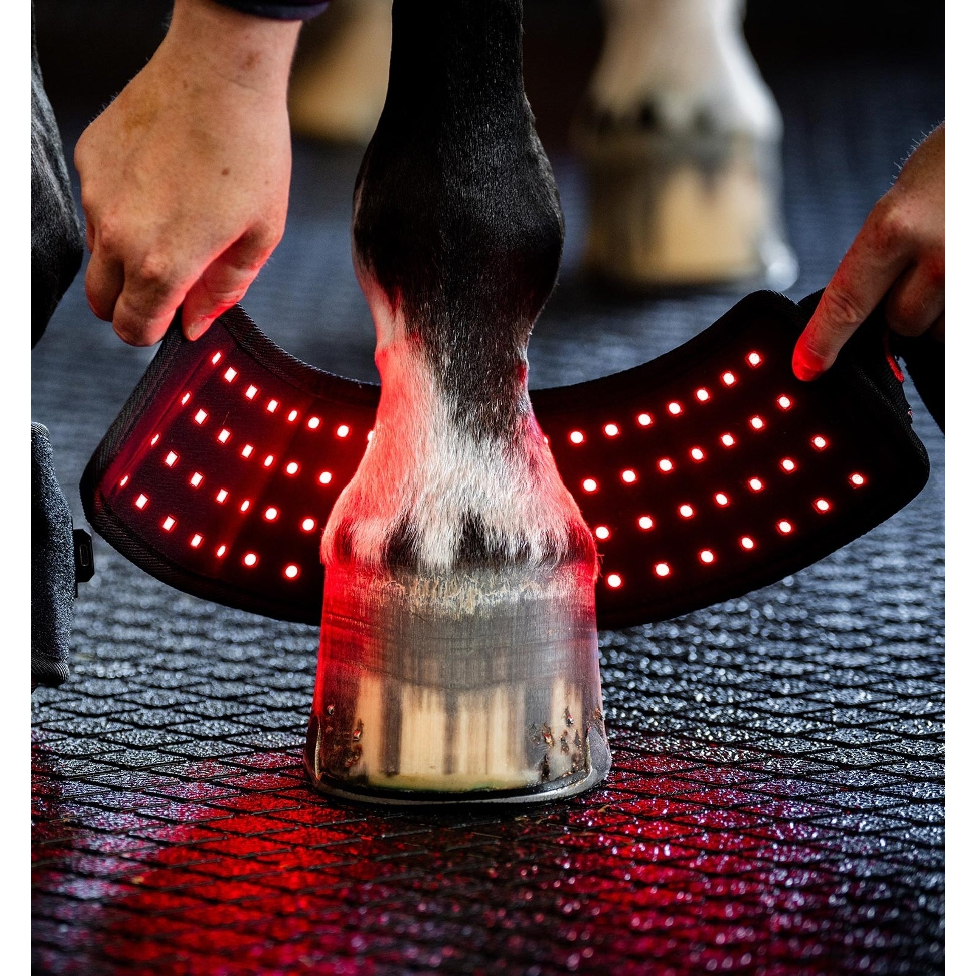 Horseware LED Red Light Therapy Mini Wrap