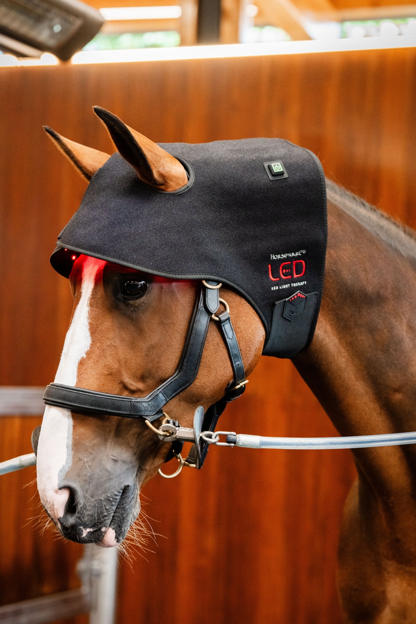 Led Poll Horseware LED Red Light Therapy Poll Cap– Horse.com