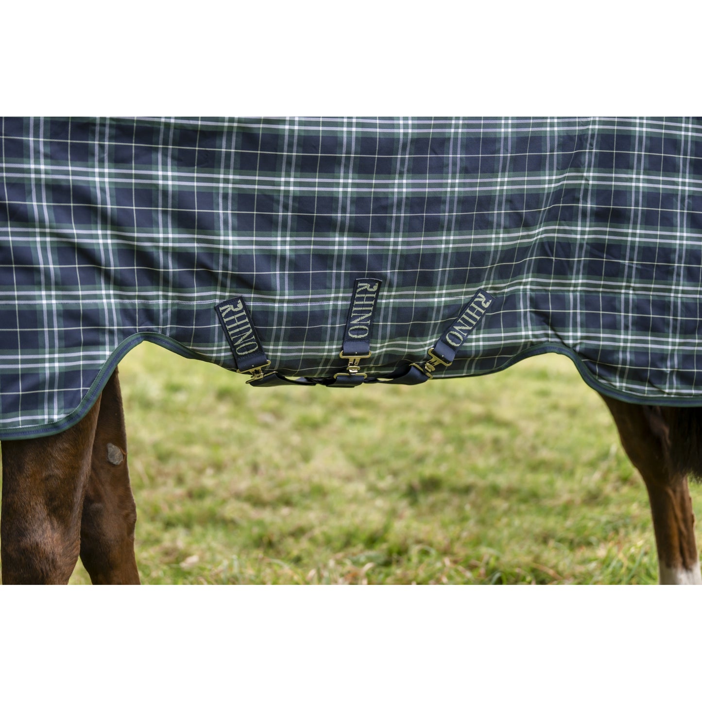 4-511305-1.jpg