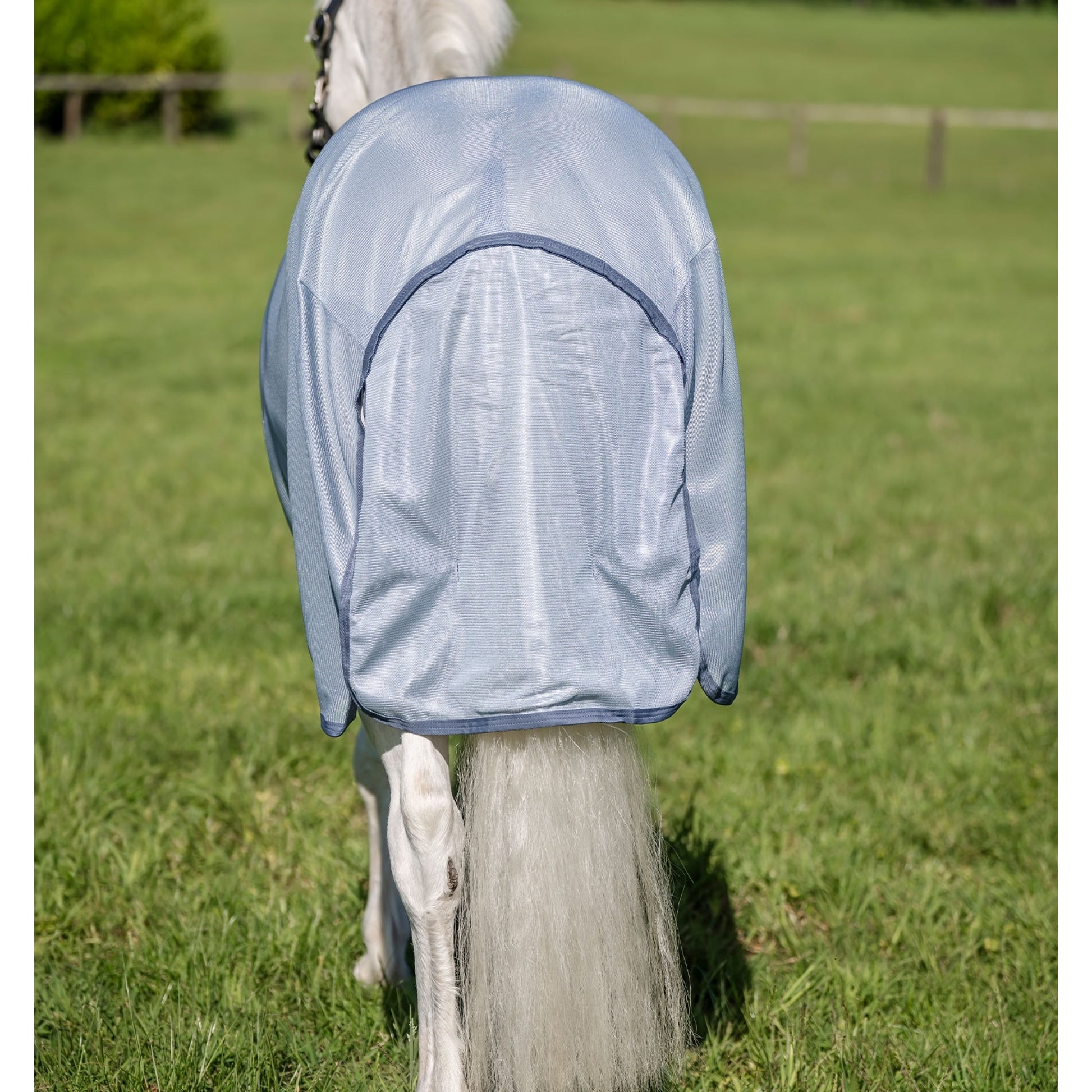 Amigo Bug Rug Plus Pony Fly Sheet