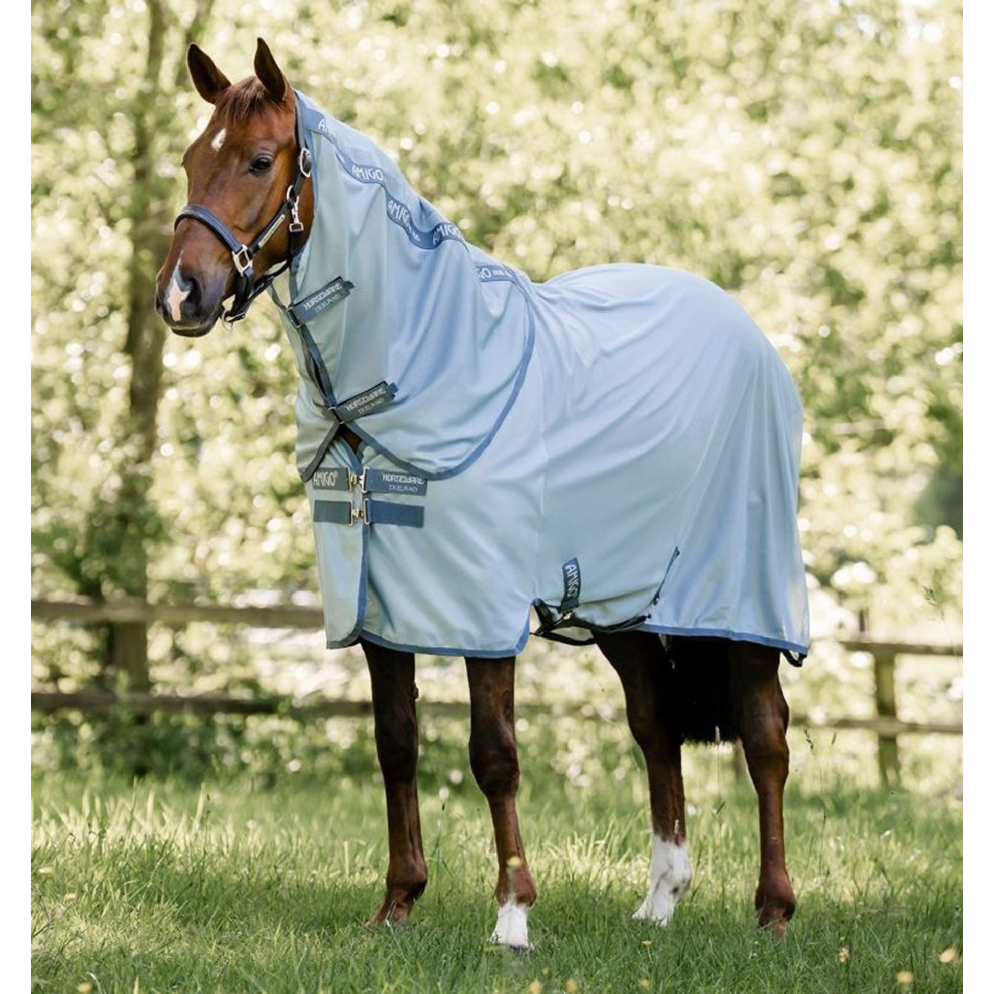 Amigo Bug Rug Plus– Horse.com