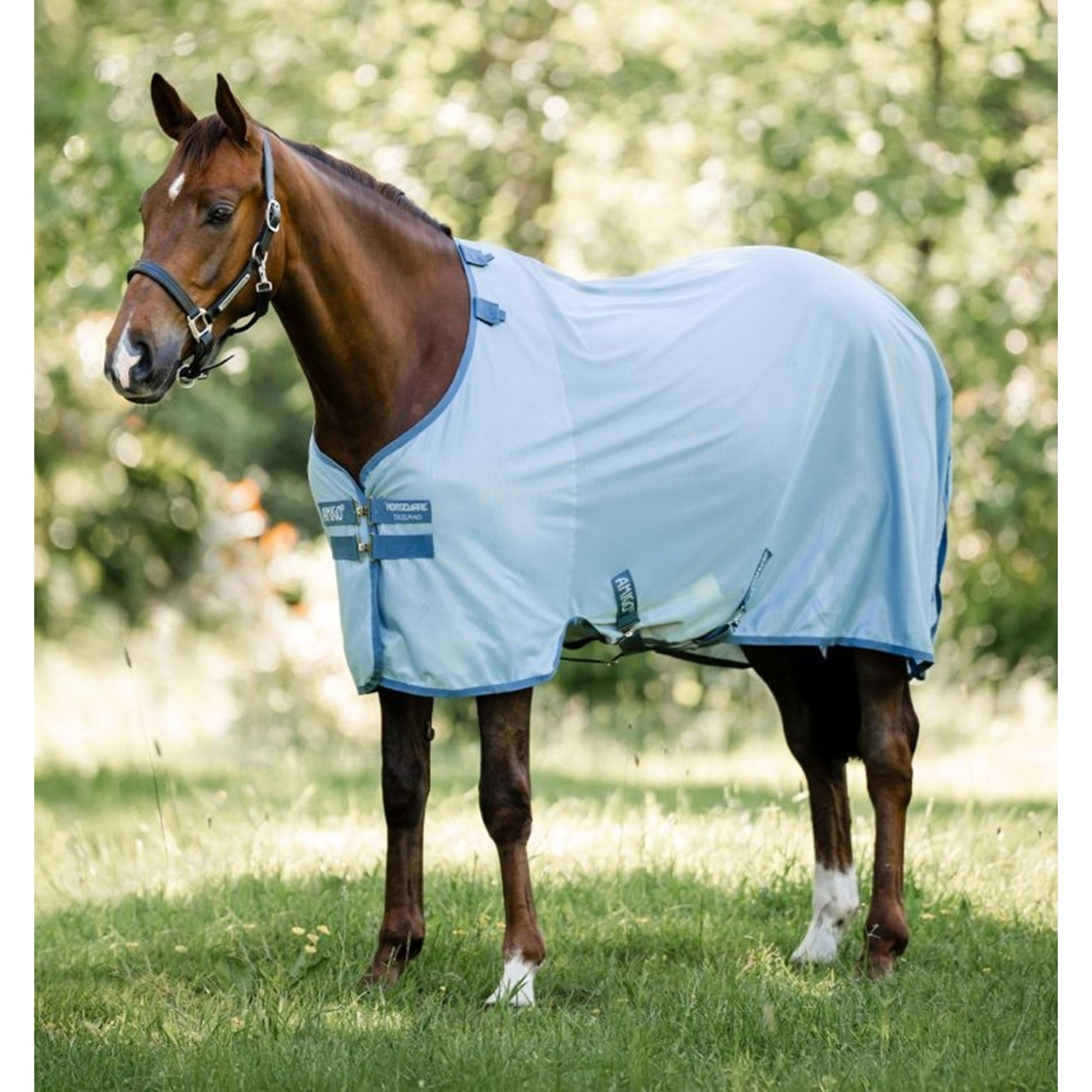 Amigo Bug Rug Fly Sheet