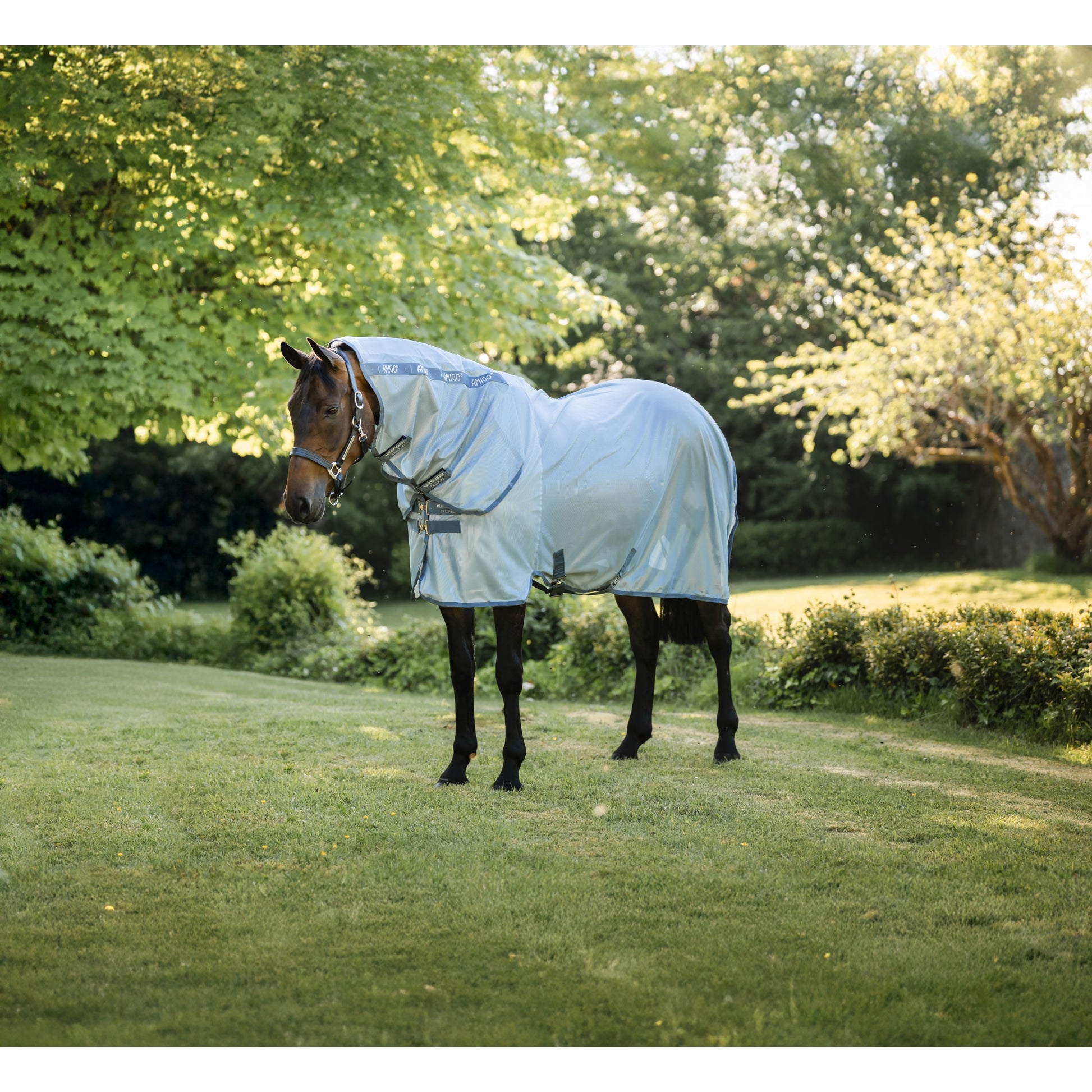 Amigo integrated Fly Sheet