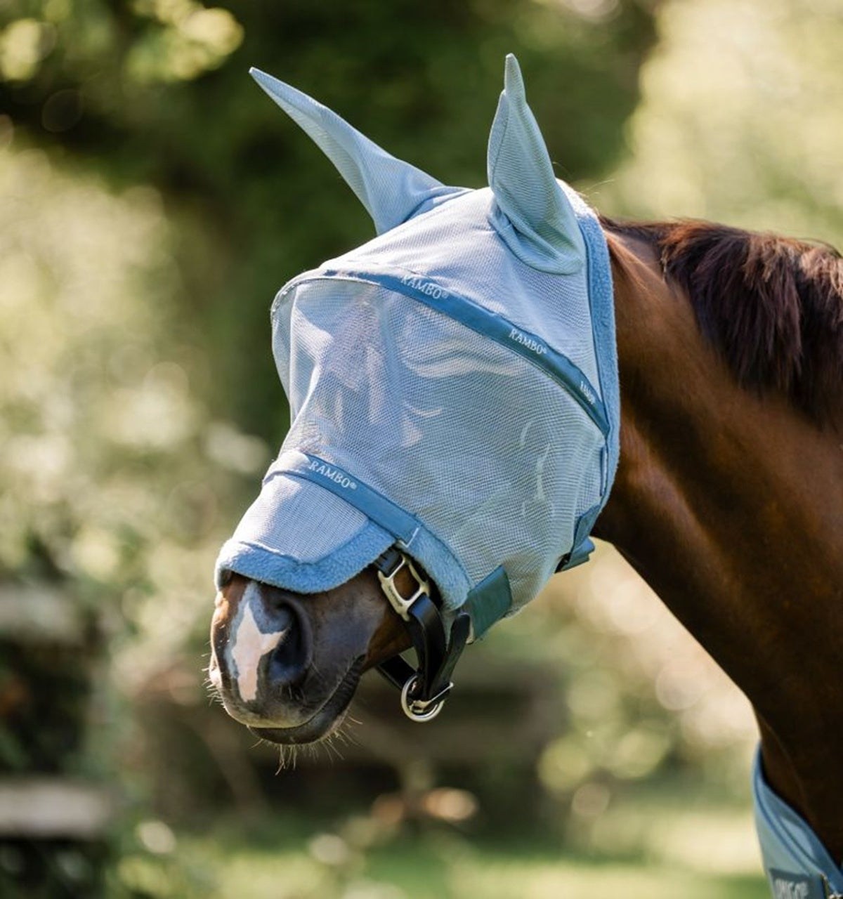Rambo Flymask